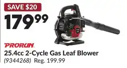 Princess Auto 25.4cc 2-Cycle Gas Leaf Blower offer