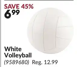 Princess Auto White Volleyball offer