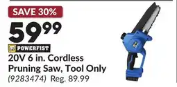 Princess Auto 20V 6 in. Cordless Pruning Saw, Tool Only offer