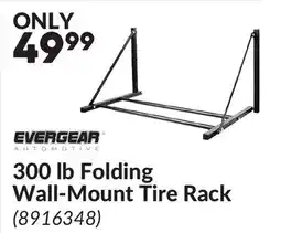 Princess Auto 300 lb Folding Wall-Mount Tire Rack offer