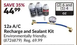 Princess Auto 12a A/C Recharge and Sealant Kit offer