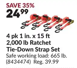Princess Auto 4 pk 1 in. x 15 2,000 lb Ratchet Tie-Down Strap Set offer