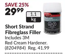 Princess Auto Short Strand Fibreglass Filler offer