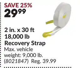 Princess Auto 2 in. x 30 18,000 lb Recovery Strap offer