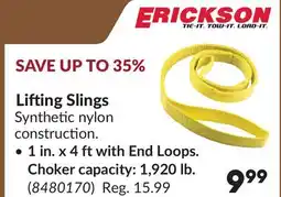 Princess Auto Lifting Slings offer