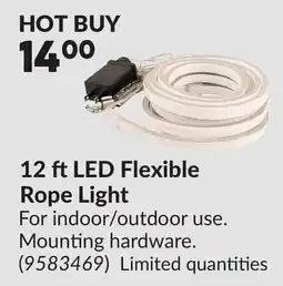 Princess Auto 12 ft LED Flexible Rope Light offer