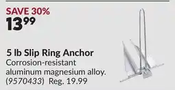Princess Auto 5 lb Slip Ring Anchor offer