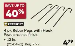 Princess Auto 4 pk Rebar Pegs with Hook offer