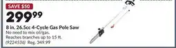 Princess Auto 8 in. 26.5cc 4-Cycle Gas Pole Saw offer