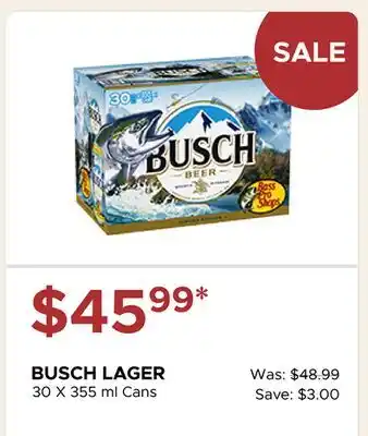 The Beer Store BUSCH LAGER offer