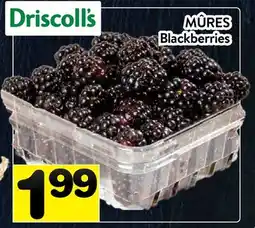 Supermarché PA Driscoll's Blackberries offer