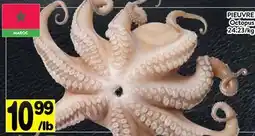 Supermarché PA PIEUVRE | Octopus offer
