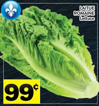 Supermarché PA LAITUE ROMAINE | Lettuce offer