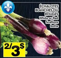 Supermarché PA ÉCHALOTES BLANCHES OU ROUGES | White or Red Scallions offer