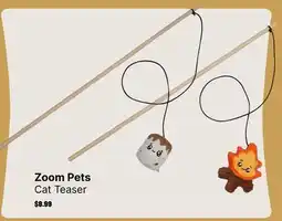 Ren’s Pets Depot Zoom Pets Cat Teaser offer