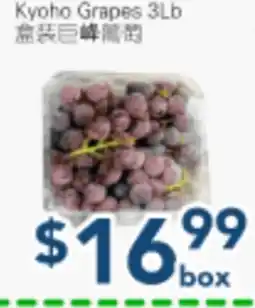 Oceans Fresh Food Market Kyoho Grapes 3Lb offer
