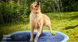 Ren’s Pets Depot Zoom Pets Splash Pad offer