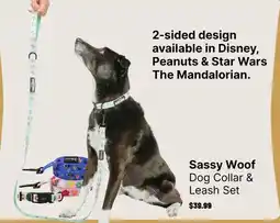 Ren’s Pets Depot Sassy Woof Dog Collar & Leash Set offer