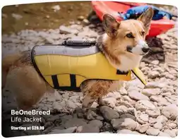 Ren’s Pets Depot BeOneBreed Life Jacket offer