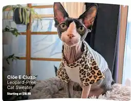 Ren’s Pets Depot Clöe E Cluzo Leopard‑Print Cat Sweater offer
