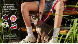 Ren’s Pets Depot Le Meow & Woof Co Leash & Collar with Interchangeable Charms offer