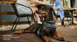 Ren’s Pets Depot BeOneBreed Luxury Rope Dog Harness offer