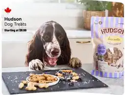 Ren’s Pets Depot Hudson Dog Treats offer