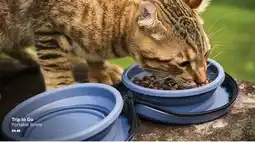 Ren’s Pets Depot Trip to Go Portable Bowls offer