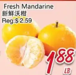 Foody Mart Fresh Mandarin offer