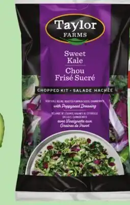 Giant Tiger Taylor Farms Salad Kit offer