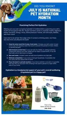 Ren’s Pets Depot Trip to Go Water Bottles & Bowls offer