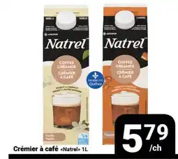 Pasquier Crémier à café Natrel offer