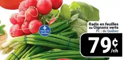 Pasquier Radis en feuilles ou Oignons verts offer