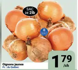 Pasquier Oignons jaunes offer