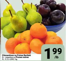 Pasquier Clémentines ou Poires Bartlett ou Prunes noires offer