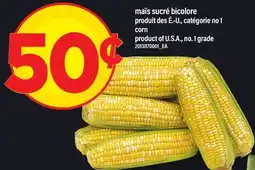Maxi MAÏS SUCRÉ BICOLORE | CORN offer