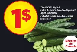 Maxi CONCOMBRES ANGLAIS | ENGLISH CUCUMBERS offer