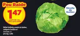 Maxi LAITUE ICEBERG offer