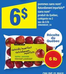 Maxi POMMES SANS NOM NATURELLEMENT IMPARFAITS | APPLES, 6 LB offer