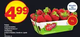 Maxi FRAISES | STRAWBERRIES offer