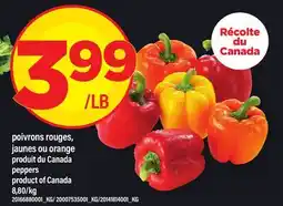 Maxi POIVRONS ROUGES JAUNES OU ORANGE | PEPPERS offer