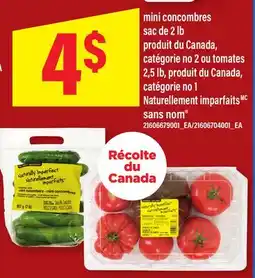 Maxi MINI CONCOMBRES, SAC DE 2 LB OU TOMATES, 2,5 LB, NATURELLEMENT IMPARFAITS SANS NOM offer