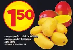 Maxi MANGUE ATAULFO offer