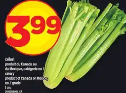 Maxi CÉLERI | CELERY, 1 un offer