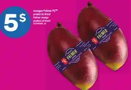 Maxi MANGUE PALMER PC | PALMER MANGO offer