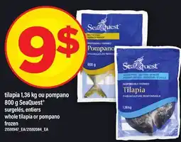 Maxi TILAPIA, 1,36 KG OU POMPANO, 800 G SEAQUEST | WHOLE TILAPIA OR POMPANO offer