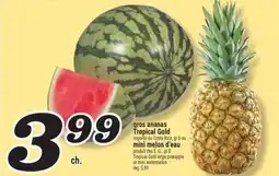 Marché Richelieu GROS ANANAS TROPICAL GOLD, MINI MELON D'EAU | TROPICAL GOLD LARGE PINEAPPLE OR MINI WATERMELON offer