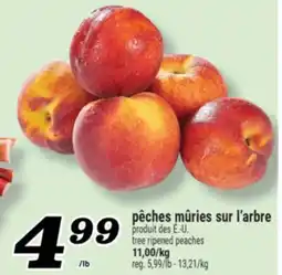 Marché Richelieu PÊCHES MÛRIES SUR L'ARBRE | TREE RIPENED PEACHES offer
