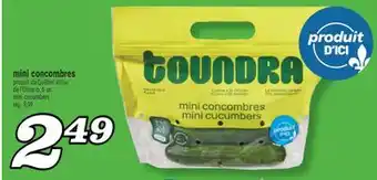 Marché Richelieu MINI CONCOMBRES | MINI CUCUMBERS offer