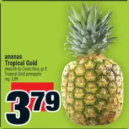 Super C ananas Tropical Gold | Tropical Gold pineapple offer